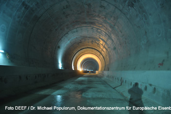 Lainzer Tunnel Wildschweintunnel DEEF / Dr. Michael Populorum 2013