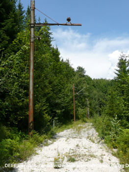 Eisenbahnarch�ologie:Strommasten auf der stillgelegten Trasse s�dlich Mariazell. Die Mariazellerbahn. Foto DEEF - Dokumentationszentrum f�r Europ�ische Eisenbahnforschung. Dr. Michael Populorum
