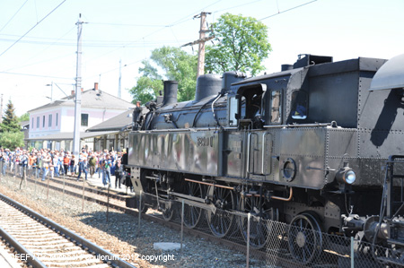 Nordbahn 175 Jahre Eisenbahn fr sterreich Dampfsonderzug Wien Deutsch Wagram zum Spargelfest 2012. DEEF / Dr. Michael Populorum
