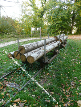 Foto Waldbahn Offensee (Landesausstellung 2008) DEEF Dr. Michael Populorum
