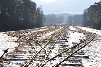 Torfbahn Ainring. DEEF / Dr. Mchael Populorum. Dokumentationszentrum fr Europische Eisenbahnforschung