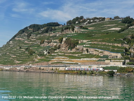 Foto Lavaux Weinterrassen mit Regionalzug