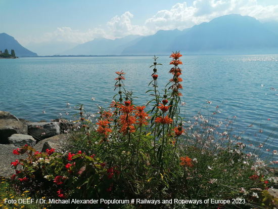 Foto Blumen Promenade Montreux Genfersee Lac Leman Dents du Mido Rhonetal Schweiz Frankreich Waadt Wallis
