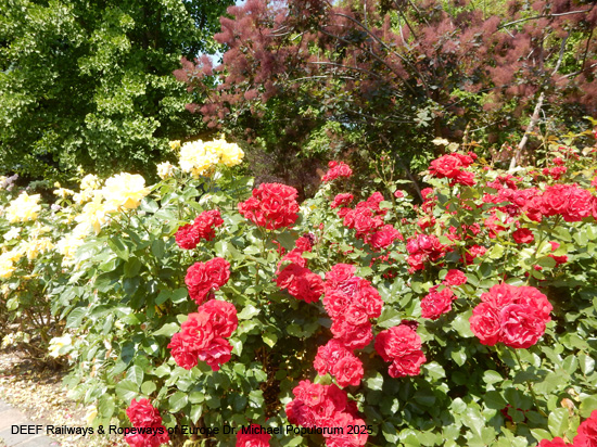 Bahnhistorischer Park Budapest Lokpark Magyar Vasúttörténeti Park Ungarisches Eisenbahnmuseum