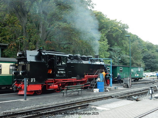 Rasender Roland Rügensche Bäderbahn RüBB Eisenbahn Rügen Deutschland Lauterbach Putbus Binz Sellin Baabe Göhren