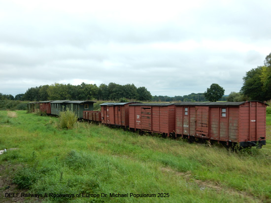 Rasender Roland Rügensche Bäderbahn RüBB Eisenbahn Rügen Deutschland Lauterbach Putbus Binz Sellin Baabe Göhren