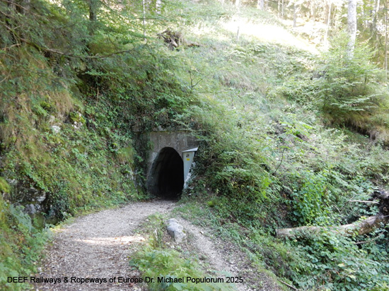 Salzbergwerk Berchtesgaden Stollenweg Stollen Bergbau Bayern Deutschland