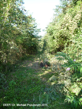 Eisenbahn Südtirol Alte Brennerbahn Archäologie Lost Place Atzwang Kastelruth Waidbruck