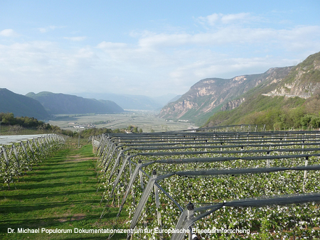 Fleimstalbahn Auer Cavalese Predazzo