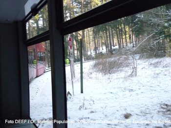 Innsbrucker Mittelgebirgsbahn Igler Sechser Straßenbahn Innsbruck Igls Tram Tirol