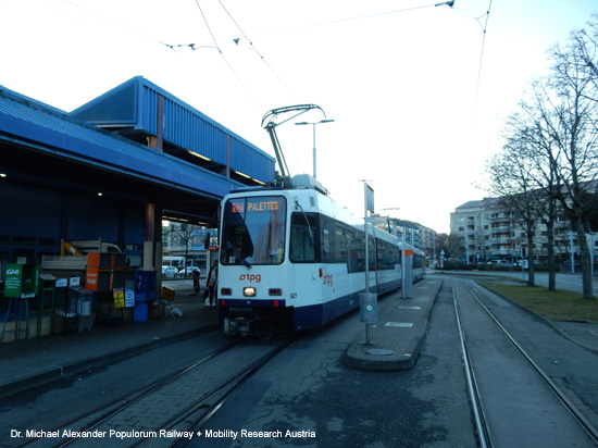 Straßenbahn Genf Tram de Geneve Schweiz Transports publics genevois